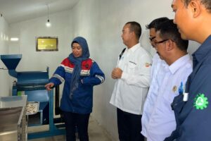Desa Energi Berdikari: Rahasia Kemandirian Ekonomi Warga lewat PNRE