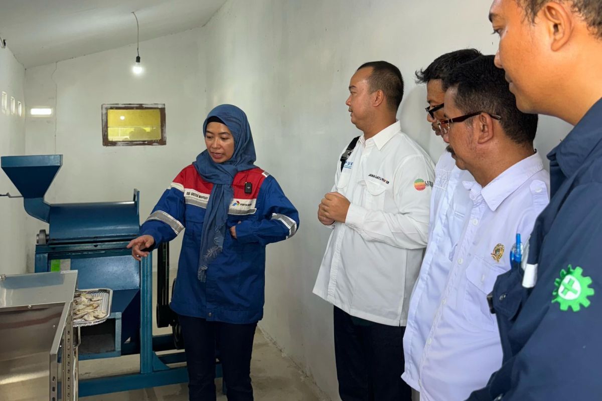 Desa Energi Berdikari: Rahasia Kemandirian Ekonomi Warga lewat PNRE