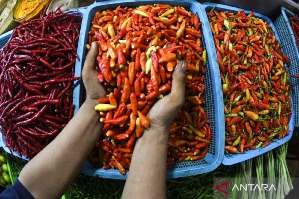 Harga Bawang Merah & Cabai Rawit Melonjak Tajam! Cek Sekarang