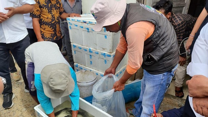Kopdes Merah Putih: Banjir Dukungan, Bapak Asuh Berdatangan