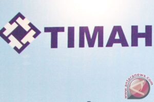 PT Timah Bagi Untung Raksasa: Dividen Rp474 Miliar!