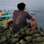 Pulau Enggano Terisolasi: Menteri Trenggono Temukan Solusi?