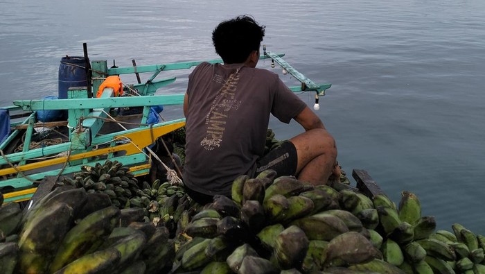 Pulau Enggano Terisolasi: Menteri Trenggono Temukan Solusi?