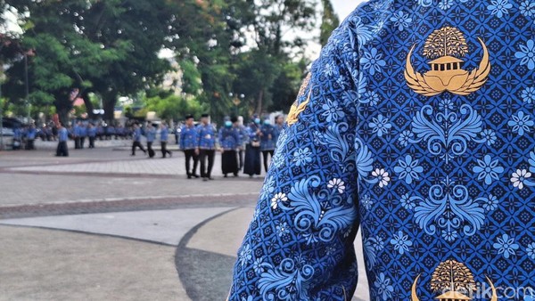 Tunjangan ASN 2024: Cek Daftar Lengkap & Terbaru Sekarang